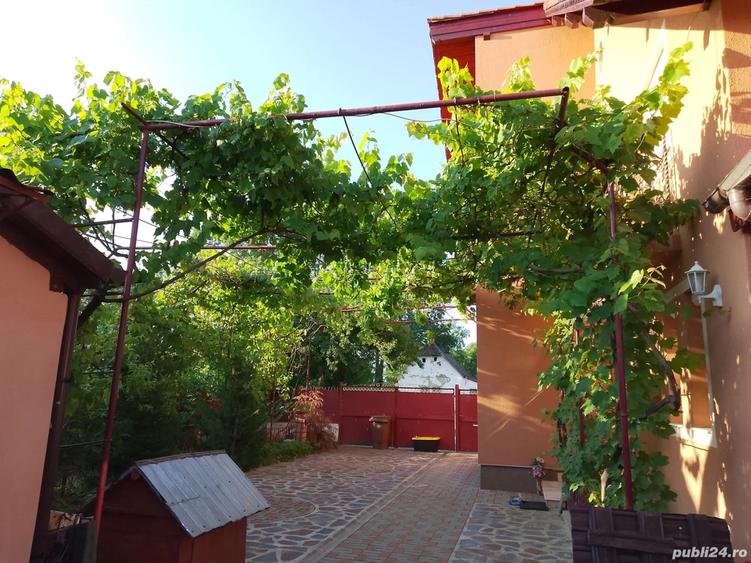 Casa de vanzare 2018, la cheie cu gradina + Casa batraneasca cu gradina gratis la pachet. - 4