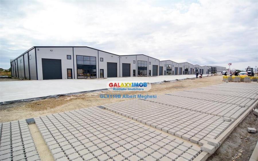 Hale Industriale Centura Rudeni Chitila Centura 415 mp/978 m - 4