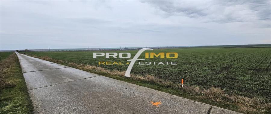 Plaja Corbu-Teren 4200mp. la numai 8 euro /mp. Soseaua asfal - 7