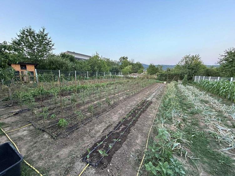 Teren intravilan peisaj superb - 6