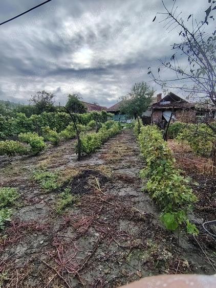 vand casa la tara - 6