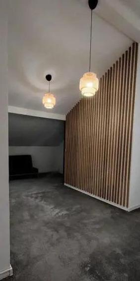 Vila 8 camere zona Drumul Taberei - 2