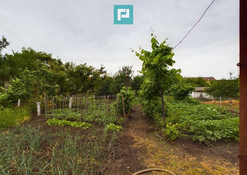 Casa ideala pentru o familie numeroasa, Santana - 5