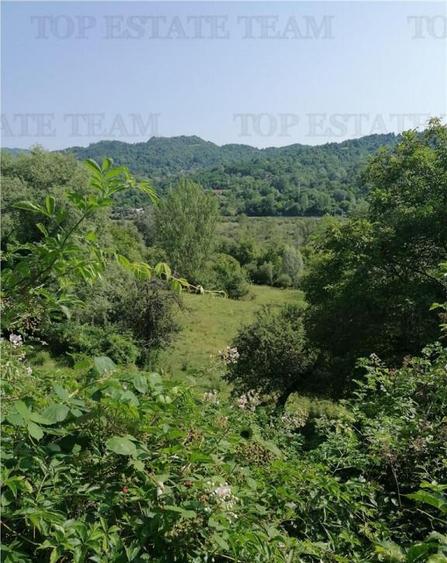 Teren 11230 m.p. Conac - necesita renovare - 1