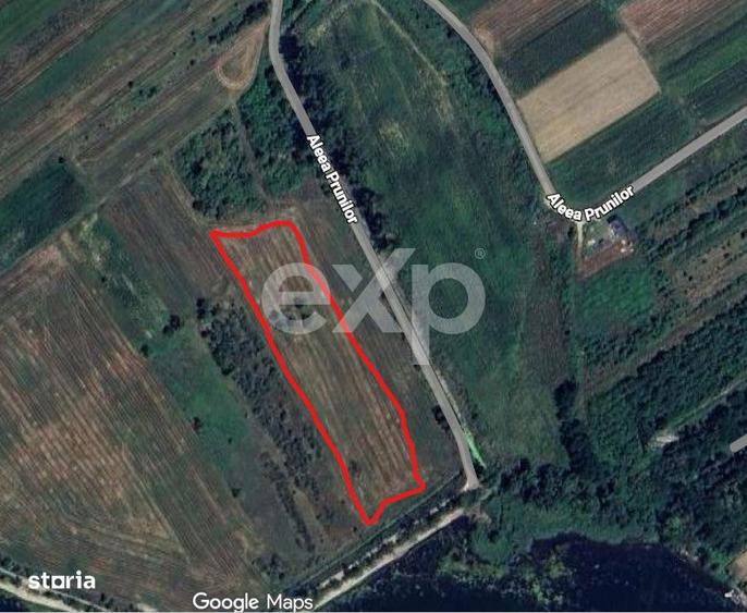 Teren Budeasa cu iesire la lac - 3