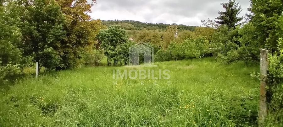 Teren intravilan | Budiu Mic | 994 mp - 2