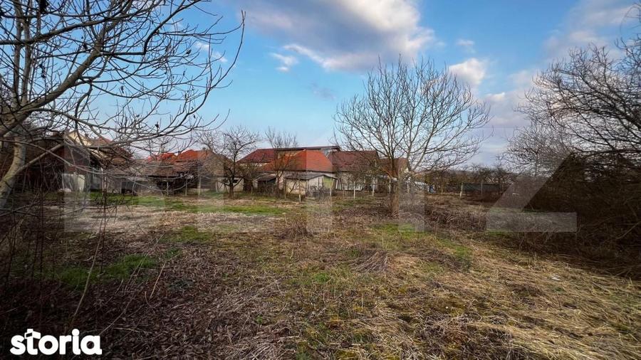 Casa de vanzare in Blaj 2500 mp teren, 90 mp utili - 9