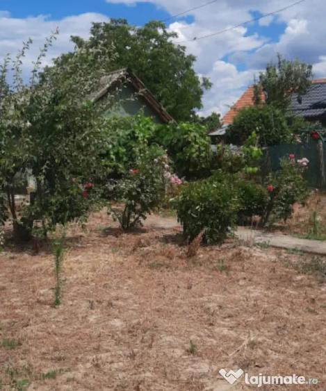 Casa batraneasca cu teren generos de 1.239 mp in Brade - Craiova (Dolj) - 2