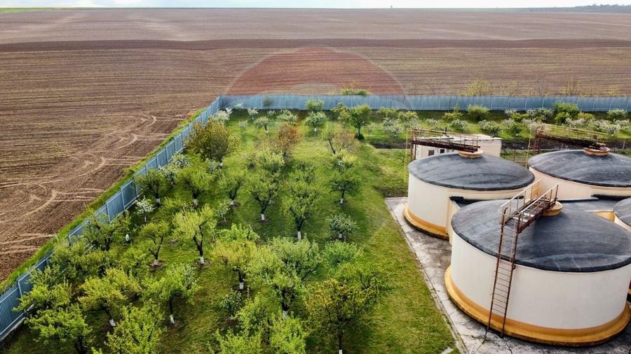 Crama Buciumeni - 11