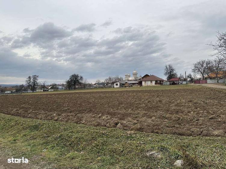 Teren intravilan in Mitocasi - 4