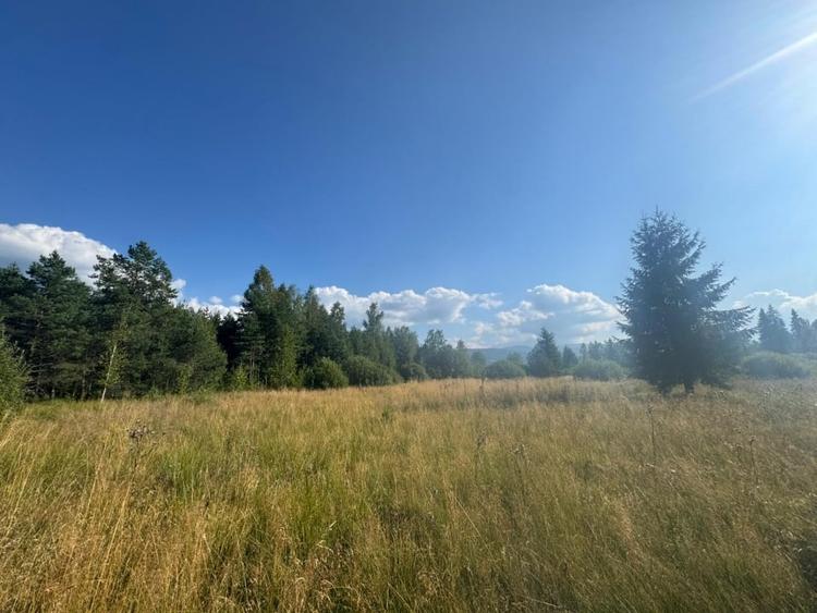 12700 mp investitie rezidentiala- turistica- medicala Tinovul Mic/Șaru Dornei - 6