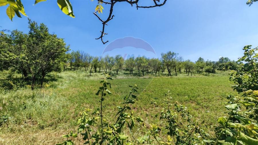 Tere cu constructie de vanzare in Urlati - 3