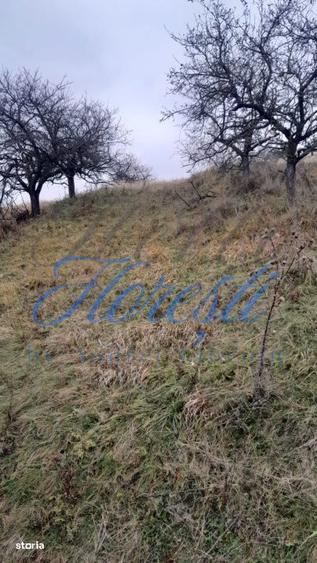 Teren intravilan, 3450 mp, front 23 m, lungime 150 m in Borhanci - 3