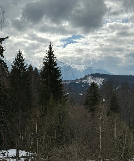 Casa de vacata Predeal Trei Brazi - 14