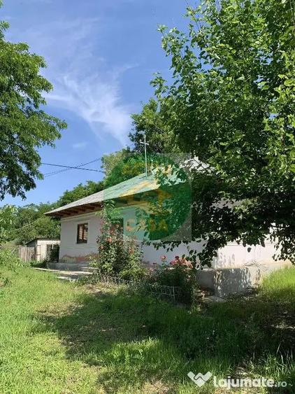 Casa de vanzare, zona Ion Creanga - 3