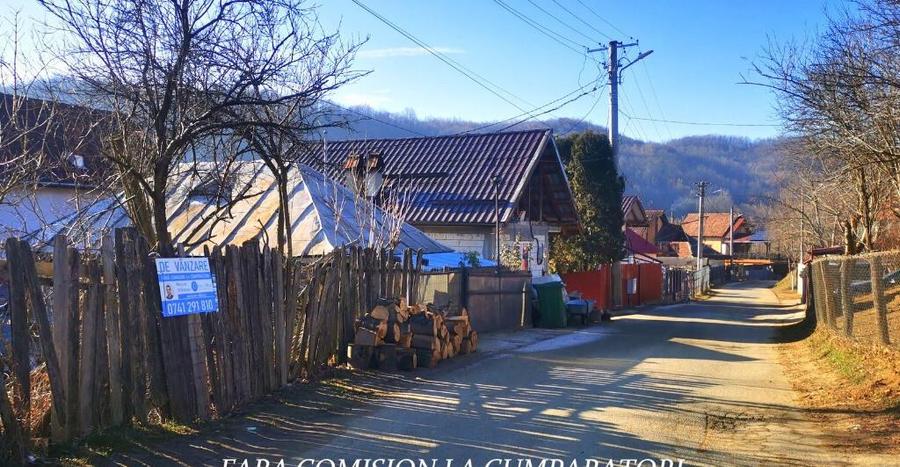 CALIMANESTI, TEREN 1231 MP - 4