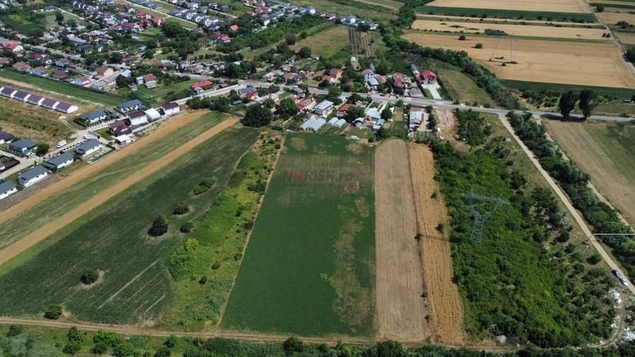 Teren Constructii Intravilan 4750mp SABARENI - 0% COMISION - 7