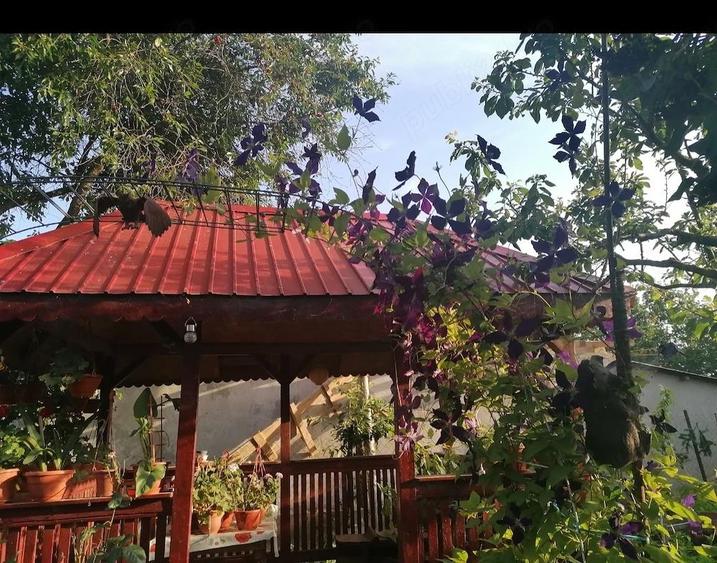 Vand casa Cataloi - 4