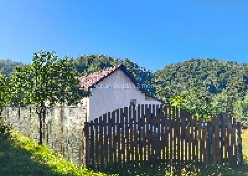 Proprietar casa+teren in sat Bani?a, jud. Hunedoara