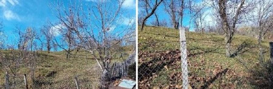 Teren cota parte 1/2, Sat Vistieru, ID: R2809860 - 17