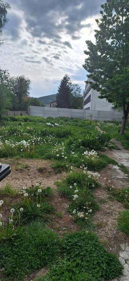 casa +teren de vanzare - 3