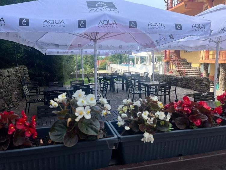 DE VANZARE Pensiune cu piscina, pastravarie, zona spa locatie de vis - 21