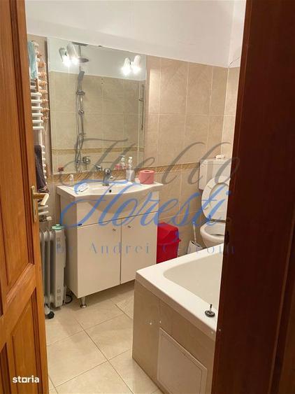 Casa SU 400 mp, teren 3000 mp, Faget - 8