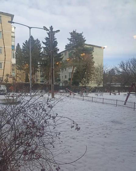 De vanzare garsoniera pe strada Vasile Goldis in Sfantu Gheorghe - 4