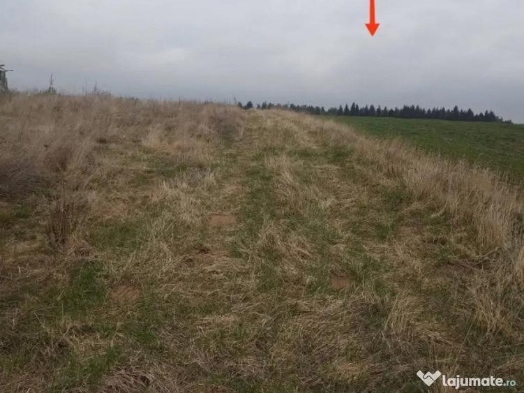 De vanzare terenuri intravilane in Reci - 6