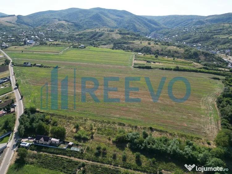 Teren de vanzare, Com. Sarata, Jud. Bacau - 3