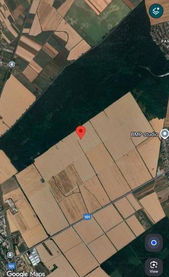 Teren intravilan 2000 mp Buftea langa padure puz cartier case vecin - 4