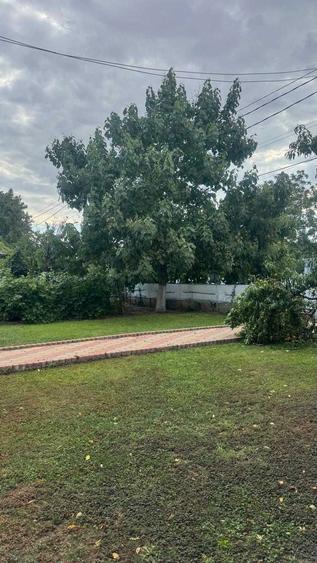 Casa cu pod mansardabil, 20 km de Delta Dunarii - 5