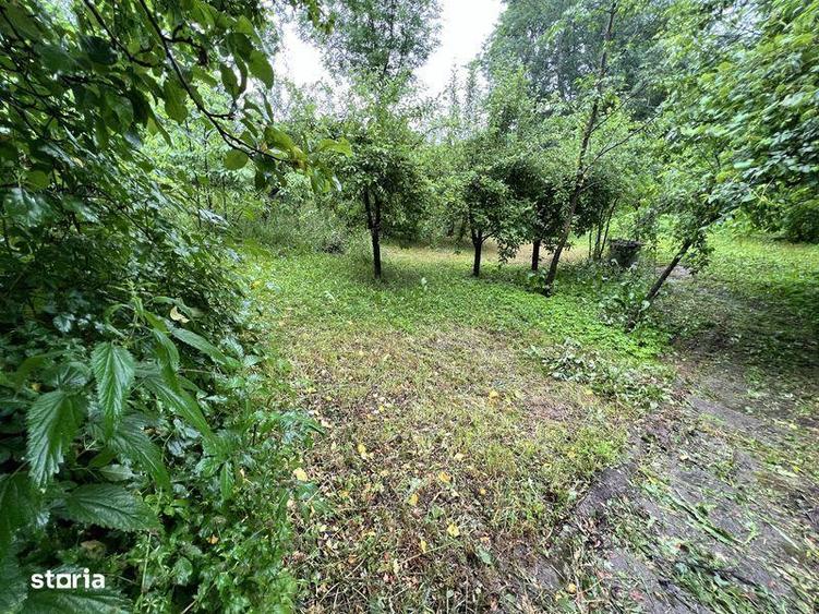 Teren si casa Provita de Jos - 3