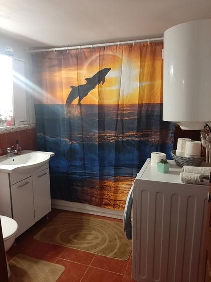 De Vanzare Casa spatioasa cu teren generos - 5