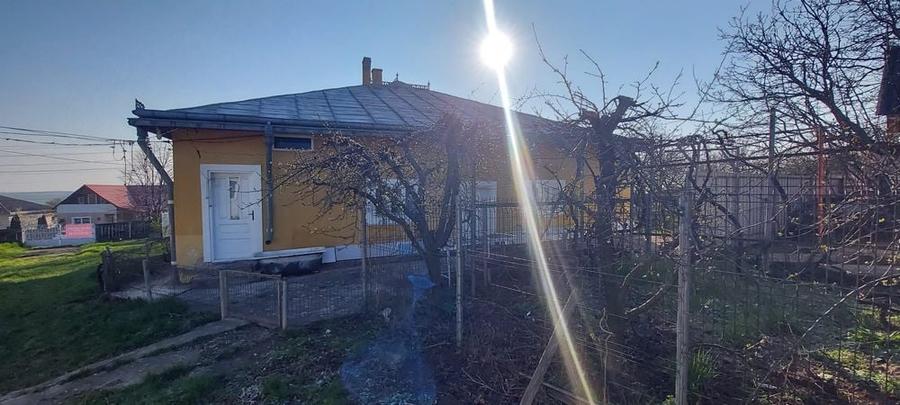 Gospodarie si livada 10.000 mp - 5