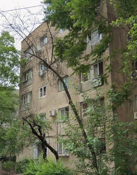 Lacul Tei, intre Parcul Circului si Parcul Tei, - 1