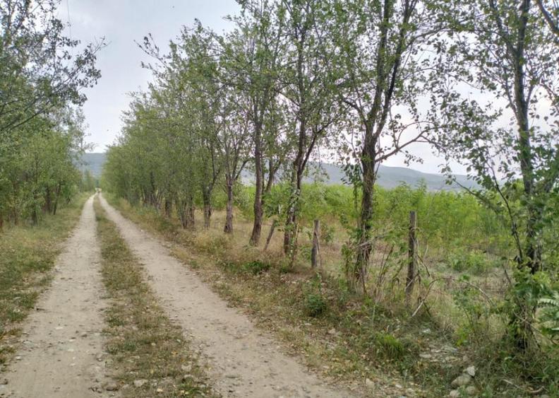 Oportunitate de investitie, teren intravilan, 6018 mp, Ungur - 6