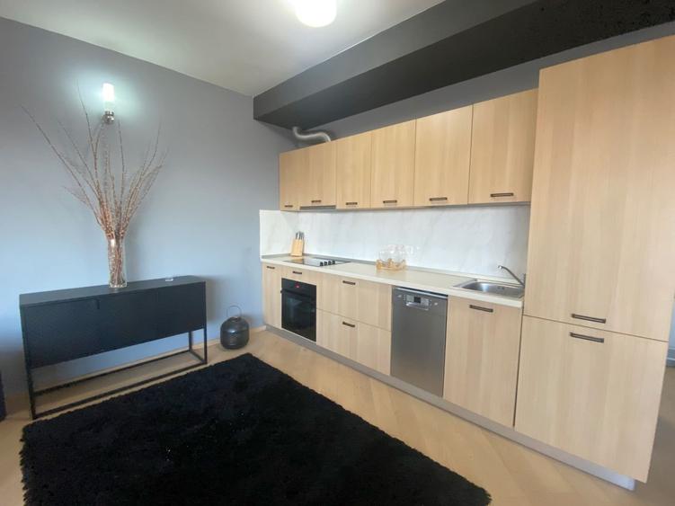 De inchiriat apartament locatie centrala-Timisoara - 8