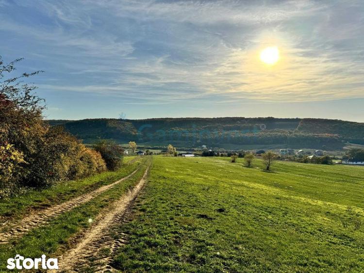 Teren de vanzare in Betfia, 5487 mp intravilan, Bihor, Gaminvest-V4571 - 1