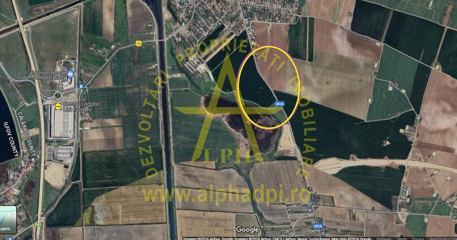 Cernica - Balaceanca 10 000 mp, Intravilan,deschidere 83 m la sosea asfaltata. - 2