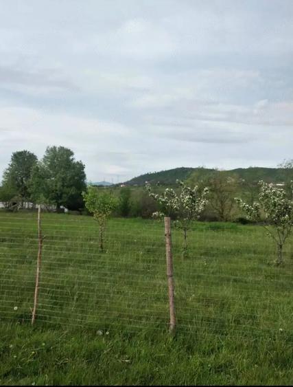 Vand teren in intravilanul ora?ului - 6