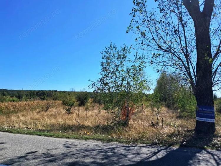 TEREN INTRAVILAN ?I EXTRAVILAN BAIA DE FIER - 6