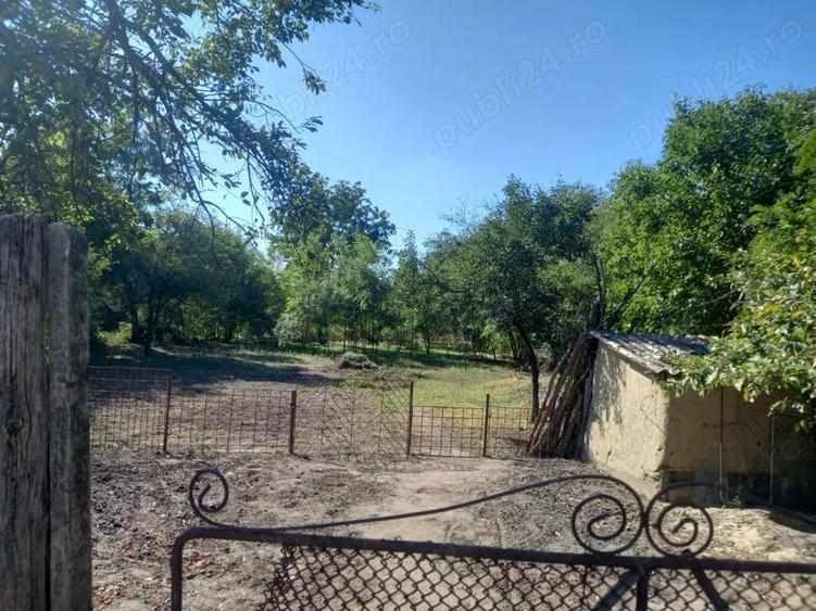 Vand casa Ramnicelu Braila 3000 mp - 1