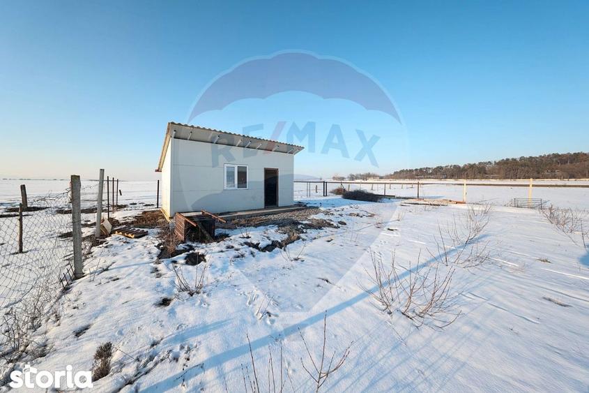 PLANTATIE ARONIA- TEREN AGRICOL - 4