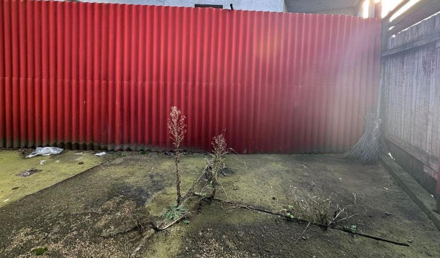 Investitie in zona Centrala, 38 mp cu pod si curte, Parcul Feroviarilor - 4