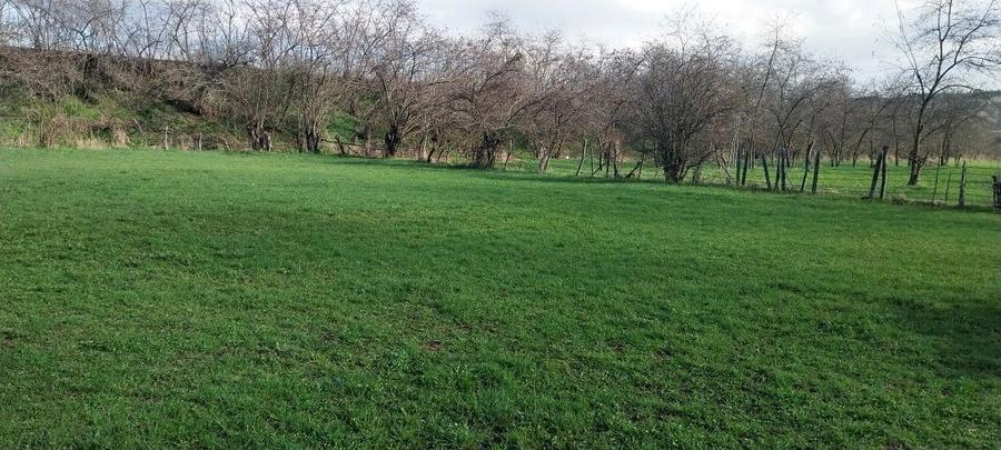 Teren de vanzare - 1