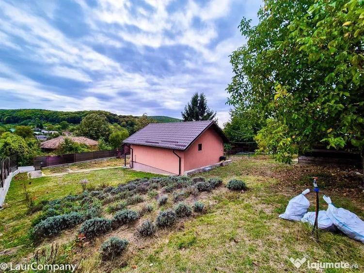Casa , teren intravilan Valea Mare Stefanesti Arges - 12