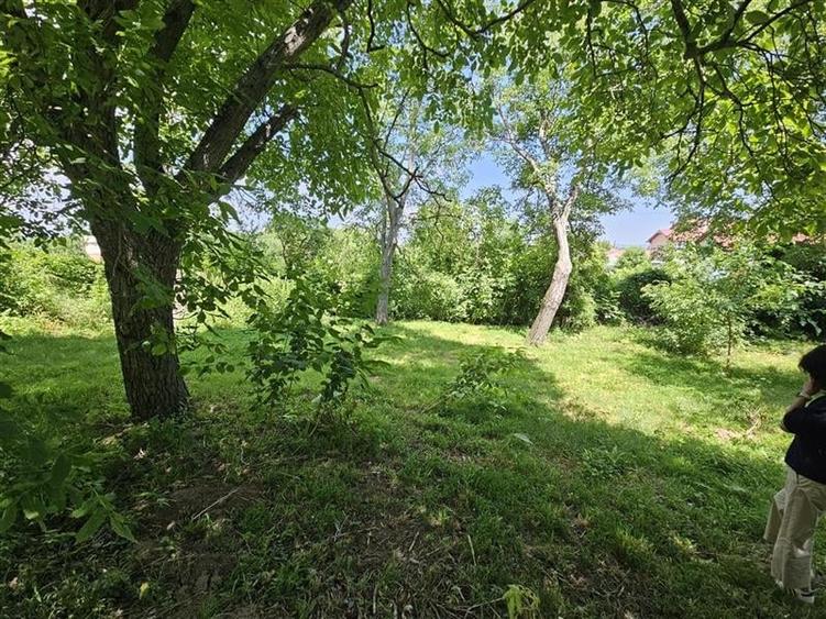 Casa spatioasa de vanzare in centrul satului Racaciuni  teren generos, livada, - 20