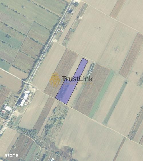 Teren intravilan de vanzare Berceni Vidra | 500650 mp | curent la lot - 5