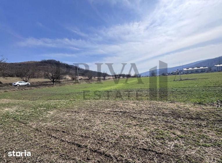 16 Ha curea de teren arabil in Saulesti/ DJ661 - 2